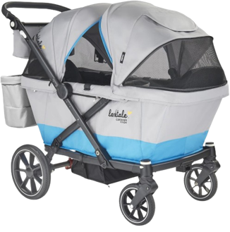 Double Wagon Stroller