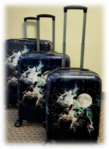 Suitcase 3pc Set