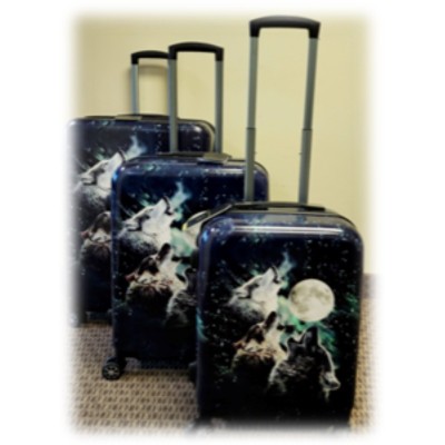 Suitcase 3pc Set